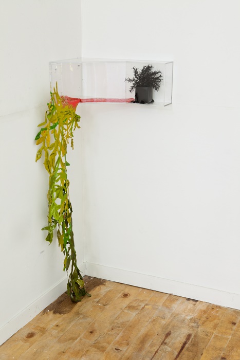 선험적 일상 A priori daily, Variable Installation, Mixed Material 이미지